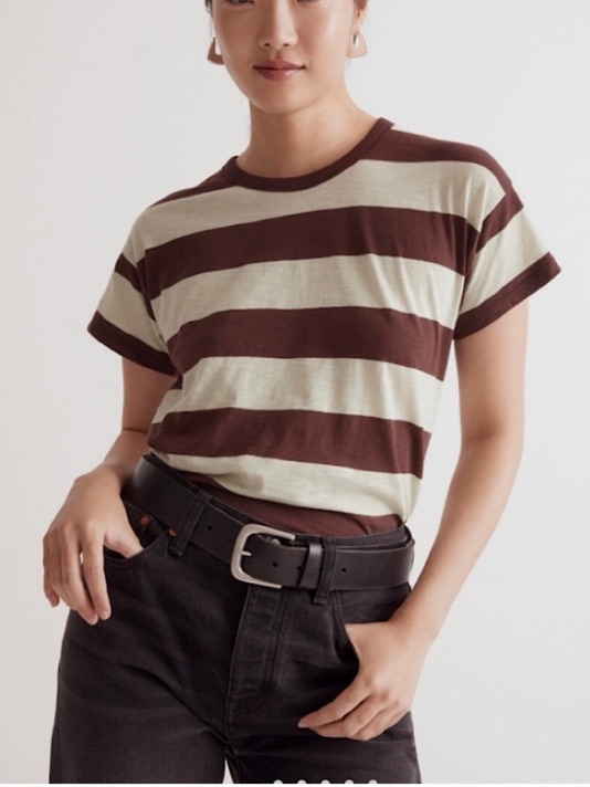 Madewell Brown And Light Mint Striped Short Sleeve Cotton Tee Size Small